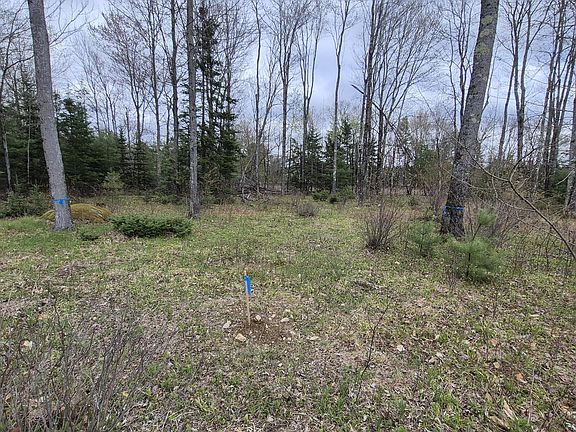 2nd image of Lot 29-A Hill Road
