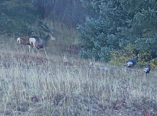 29 Brazos Meadows Rd, Chama, NM 87520