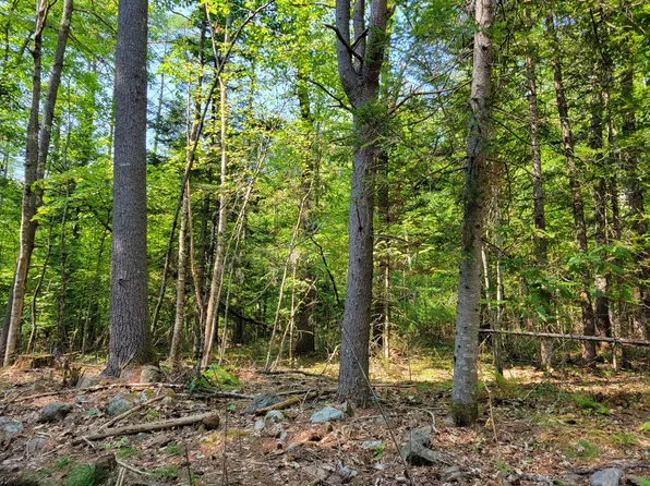 3-26 Plains Road, Hiram, ME 04041