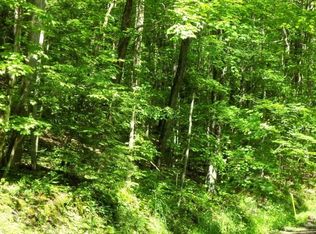 0 Texas Hollow Rd, Burdett, NY 14818