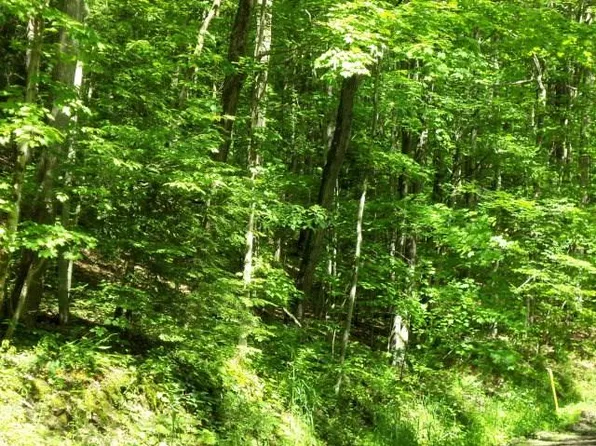 0 Texas Hollow Rd, Burdett, NY 14818