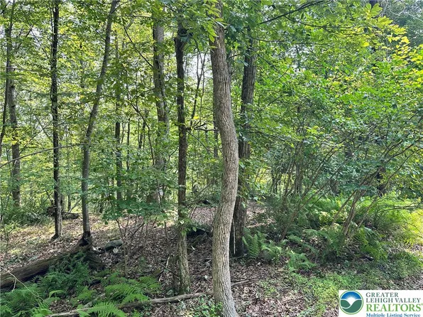 Saint Moritz Ct #3F, Henryville, PA 18332