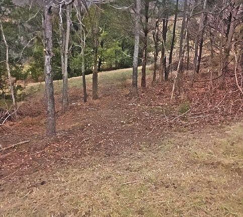 5th image of LOT 567 Russell Brothers Rd