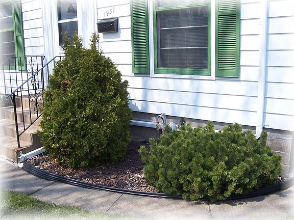 Low maintenance landscaping