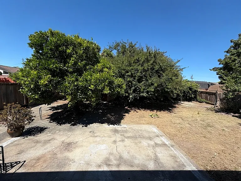 Back yard