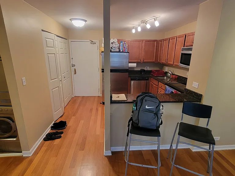 222 E Pearson St #1407 — Photo 13