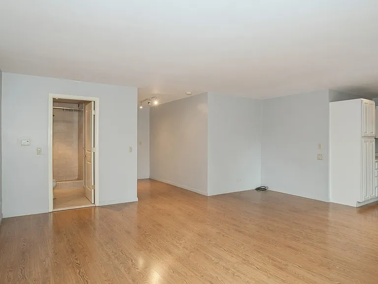 400 E Randolph St #3022 — Photo 6