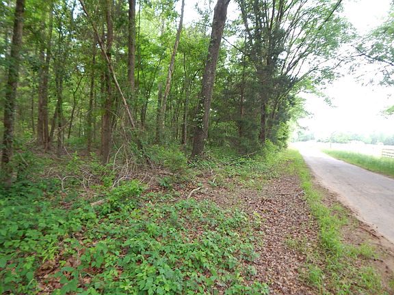 5th image of Woodchuck Rd