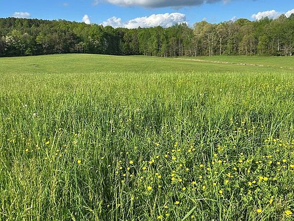 5th image of 170 Wilson Brock Rd