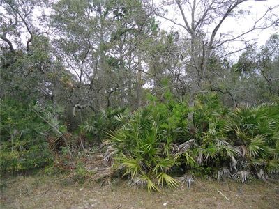 2232 Florida Dr, Deltona, FL, 32738