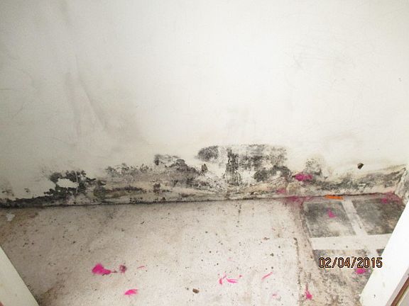 4th image of 12847 S Orchard Ln