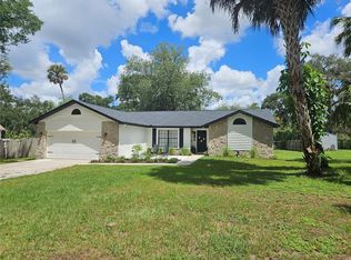 11532 River Country Dr, Riverview, FL 33569