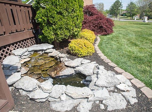 3rd image of 517 Summerfield Dr