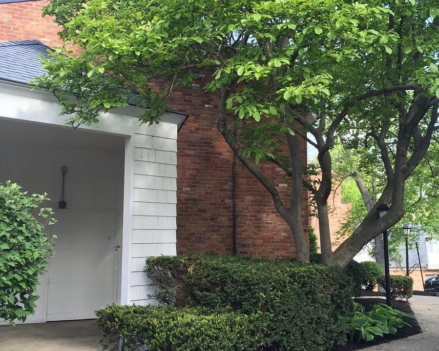 1st image of 40 Deliquia Pl