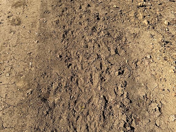 3rd image of TBD CR 2537/Moore Hollow Road LOT 3