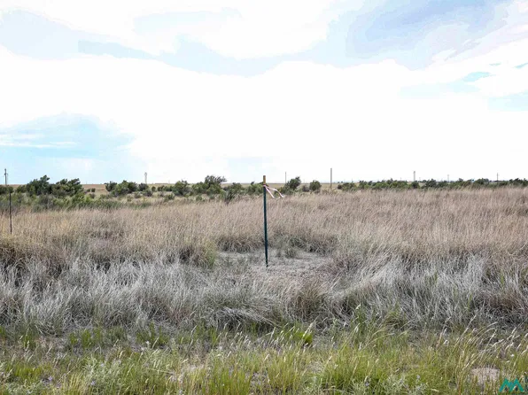 Mallard Ave, Roswell, NM 88201