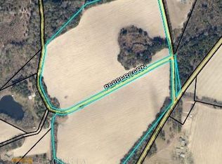 5765 Mag Davis Rd, Pembroke, GA 31321