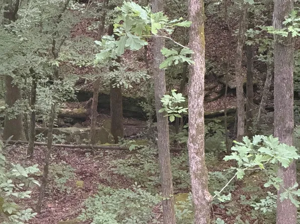 1070 Brewer Rd, Edgemont, AR 72044