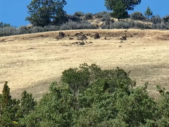 LOT 17 Camp Creek Rd, Hornbrook, CA 96044