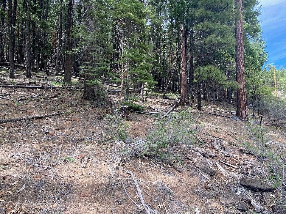 1st image of 2220 Sugar Pine Trl