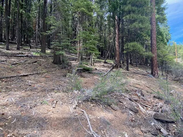 2220 Sugar Pine Trl, Quincy, CA 95971