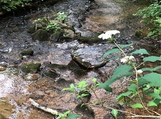 4 Larmon Forks Rd, Dahlonega, GA 30533