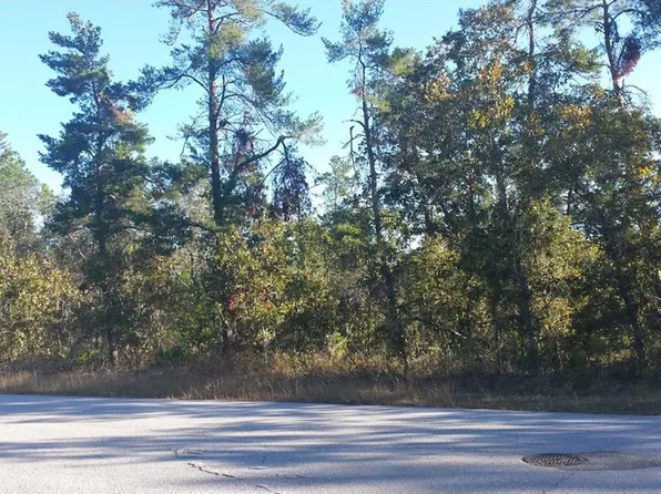 34 Lone Pine St, Homosassa, FL 34446
