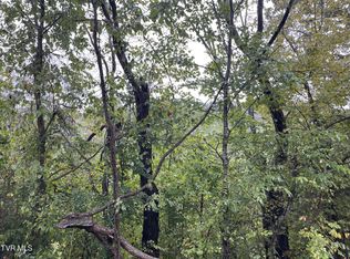 0 Lazy Ln, Mount Carmel, TN 37645