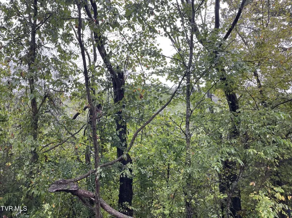 0 Lazy Ln, Mount Carmel, TN 37645