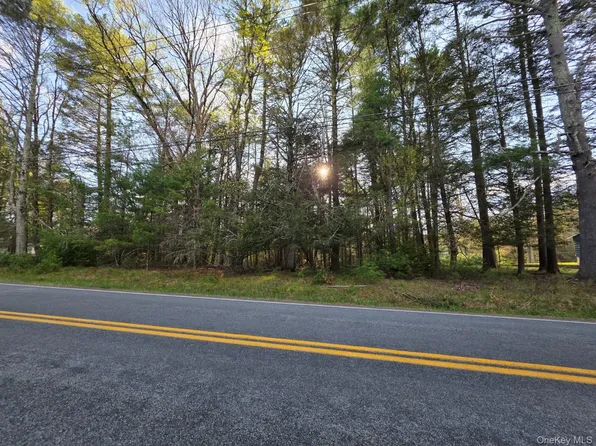 Yulan-Barryville Road, Barryville, NY 12719