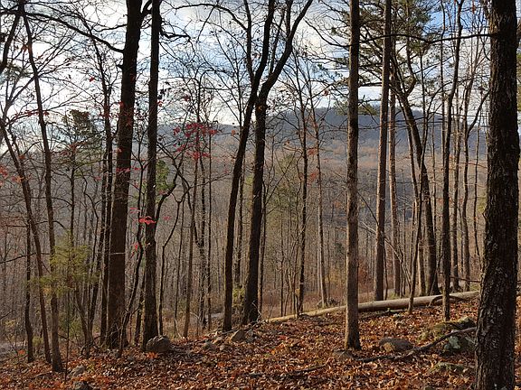 Beautiful view of the ridge.