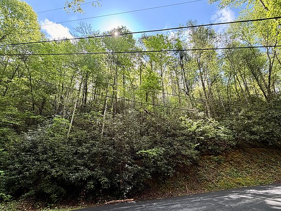 5th image of 0 Black Gum Gap Rd