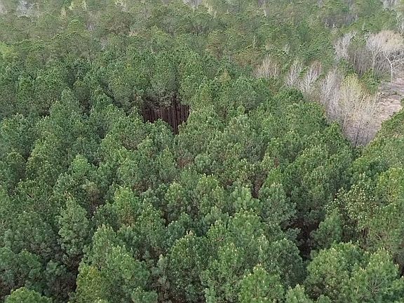 3rd image of 2.11 Acres Boggy Branch Rd.