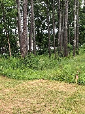 2nd image of LOT 1&2 Freewill Rd