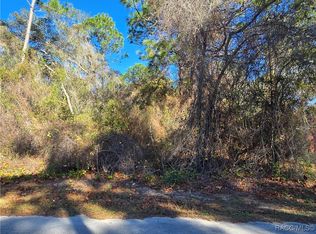 3257 E Kennedy St, Inverness, FL 34453