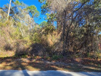 3257 E Kennedy St, Inverness, FL, 34453