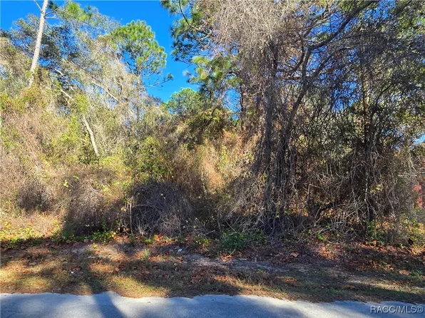 3257 E Kennedy St, Inverness, FL 34453