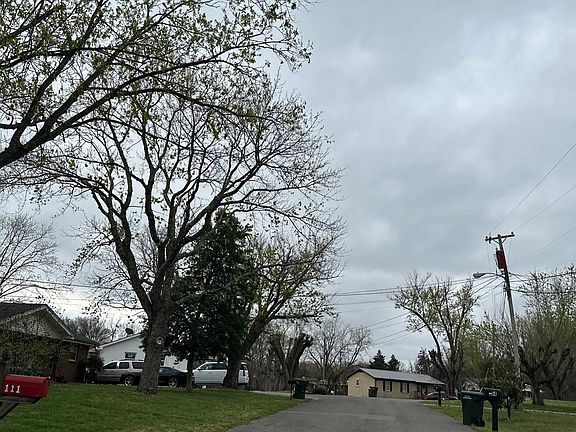 5th image of 113 Mimosa Dr