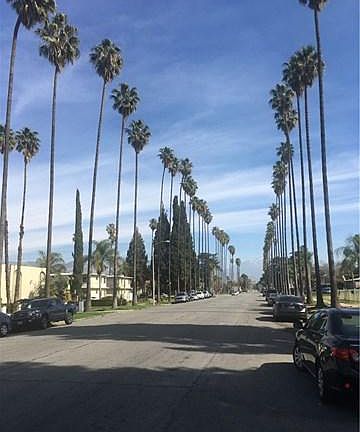 5th image of 487 W 18th St