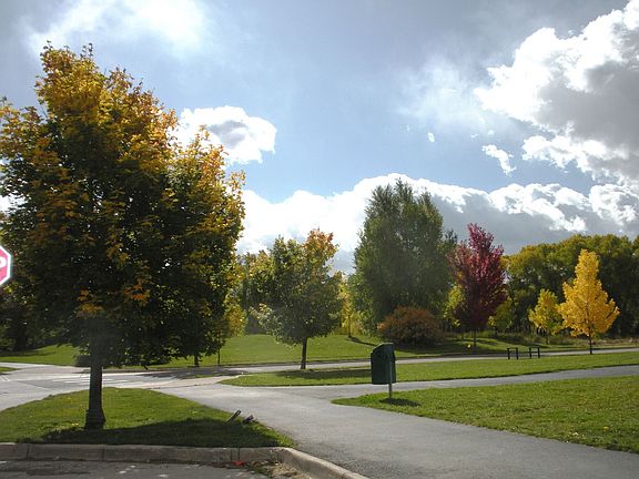 neighborhood
