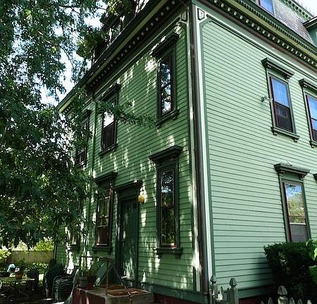 from the back of the house--big silver maple tree