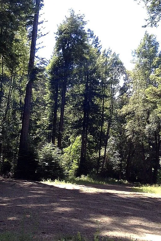 9500 Bohemian Hwy - Photo 5