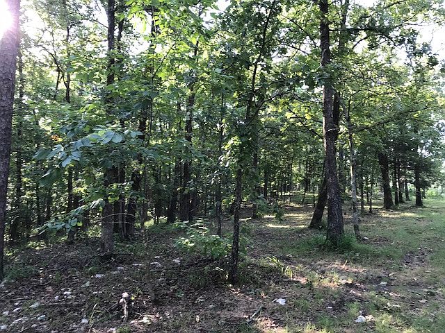 2nd image of 20606 Bellvue Dr