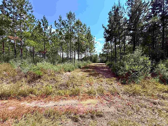 3rd image of 7282 Buffalo Ridge Rd