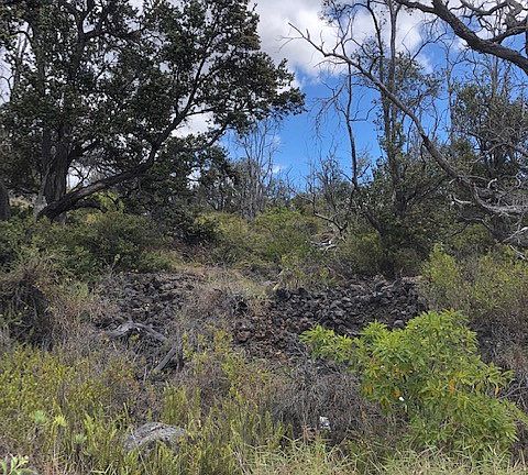 4th image of 92-8268 Trade Wind Blvd Lot 23