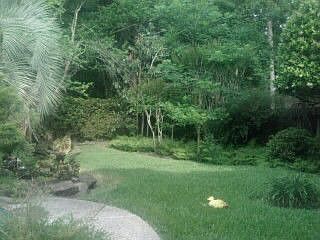 3rd image of 5823 Lone Cedar Dr