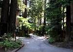 1st image of 14092 Sosna Way