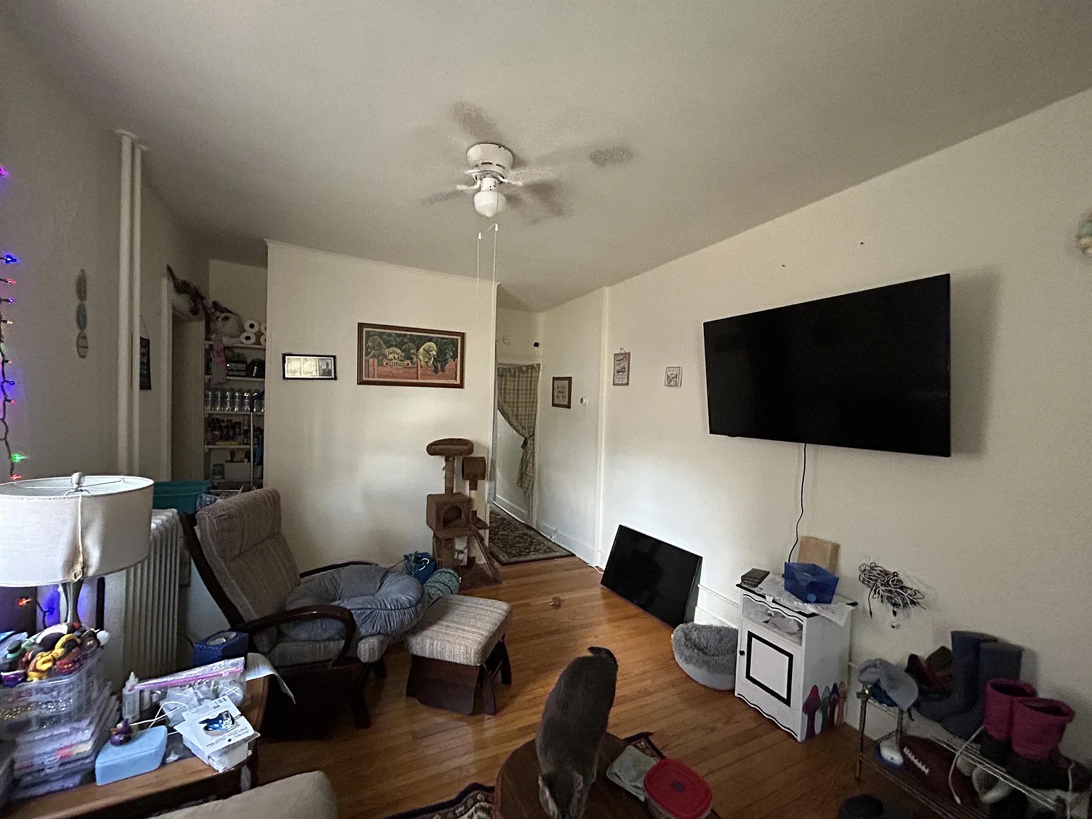 29 Langdon Street - 27 — Photo 3