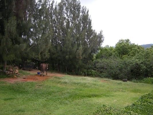 2nd image of Papalina Road A Lot A-1