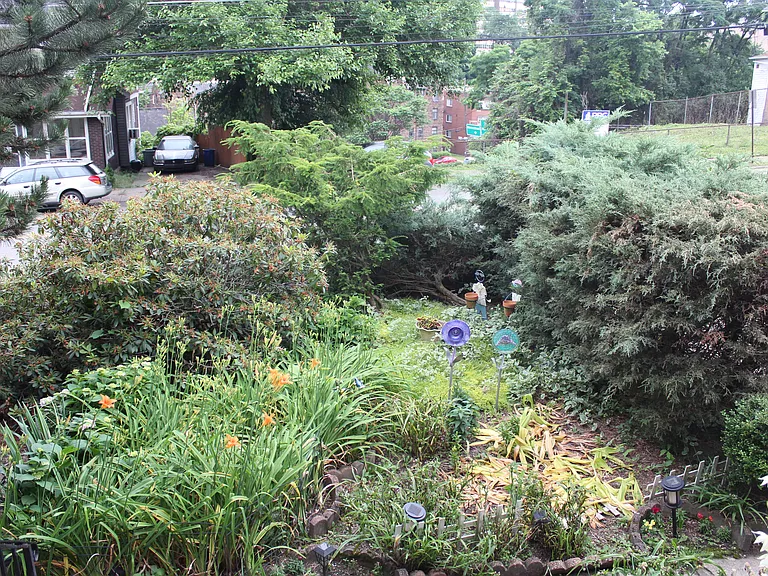 View from front porch